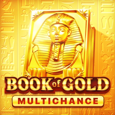 Book of Gold Multichance
